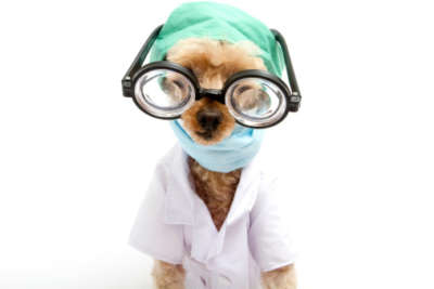 Cornea Specialists in Houston