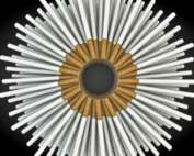 Cigarettes formed together in the shape of an eye