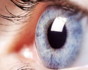 cornea-eye-specialist