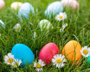 east-easter-egg-eye-doctor-Houston